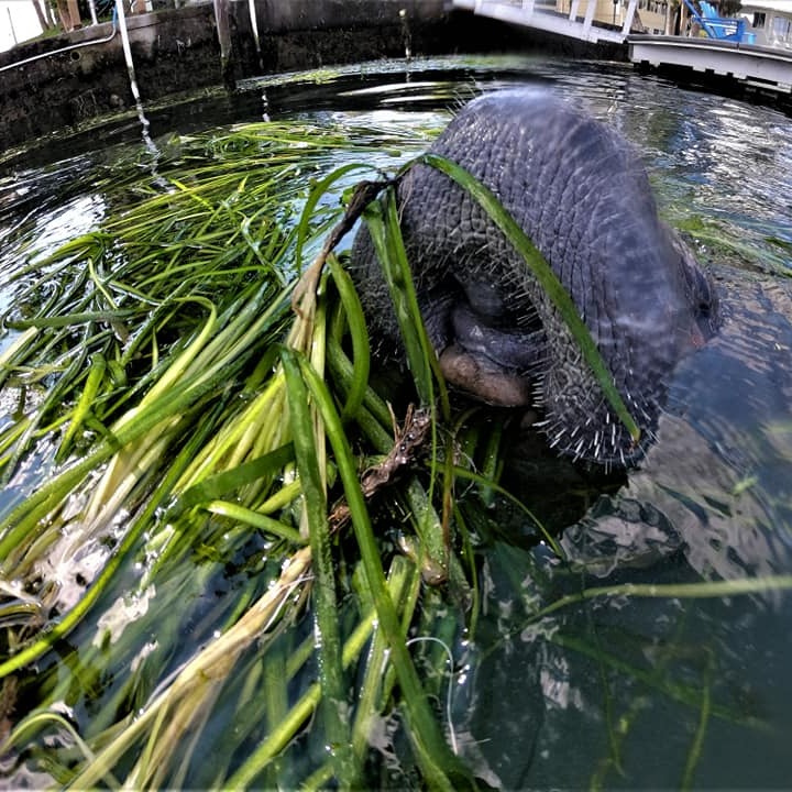 Photo 4 from SAVE CRYSTAL RIVER