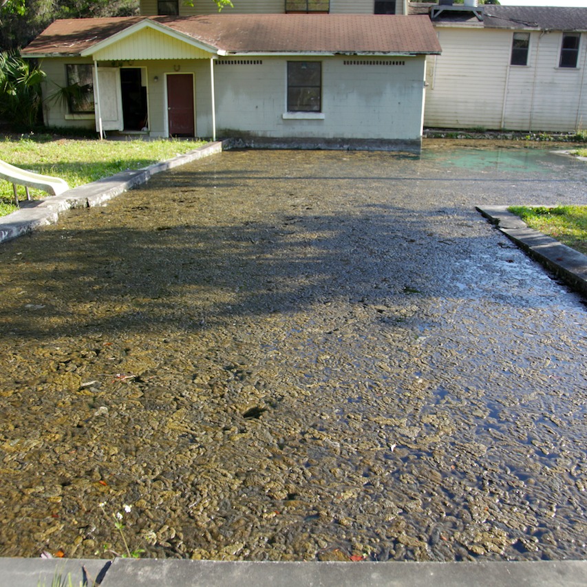 Photo 8 from SAVE CRYSTAL RIVER