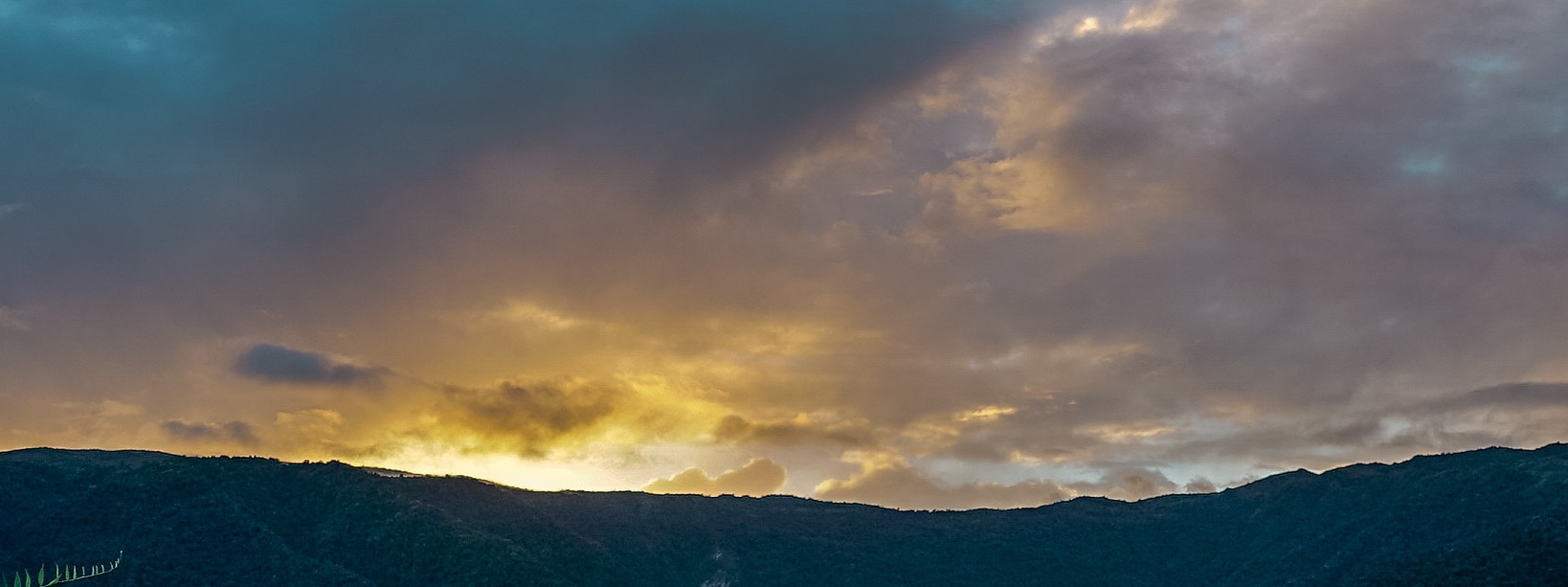 AMAZON CONSERVATION ASSOCIATION