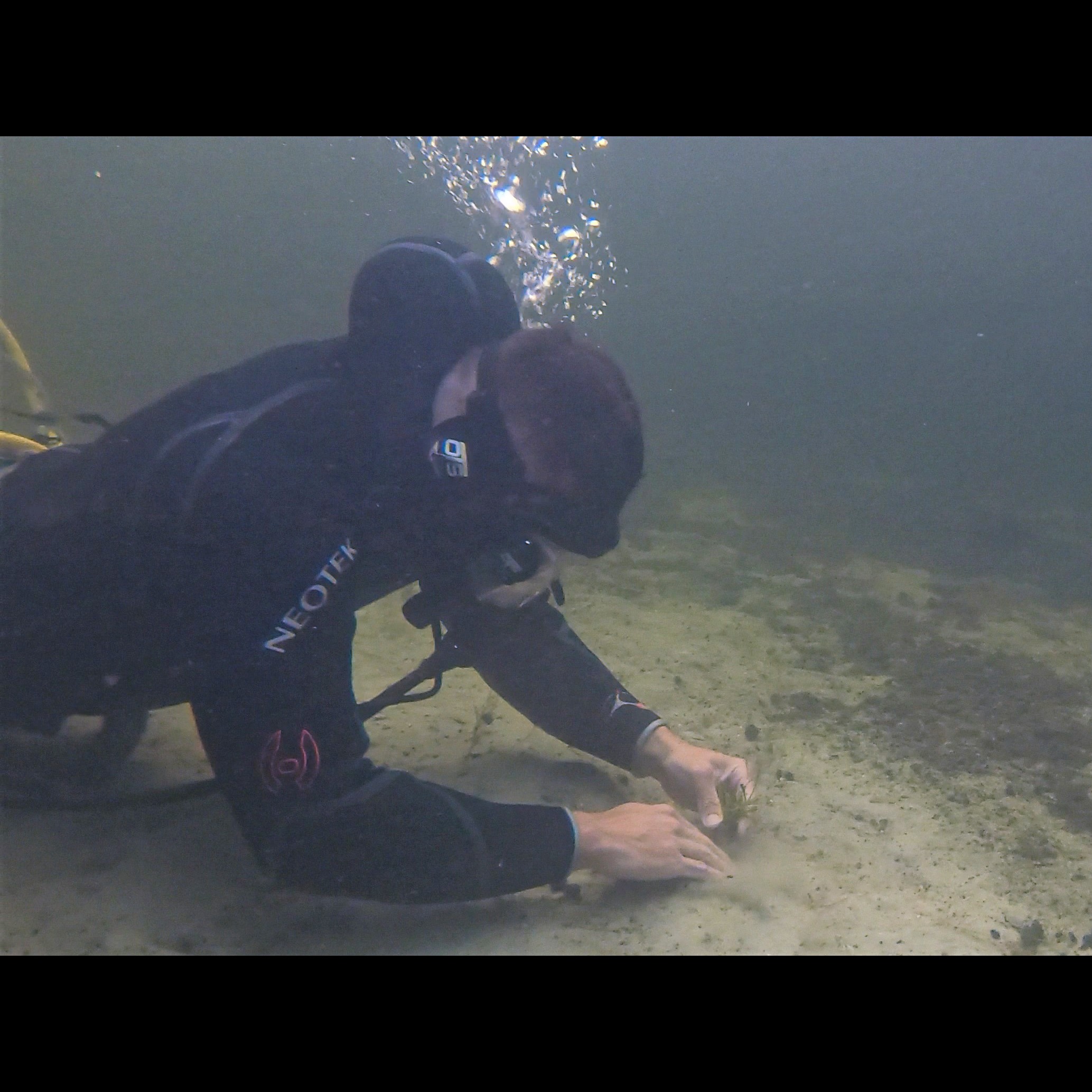 Photo 6 from SAVE CRYSTAL RIVER