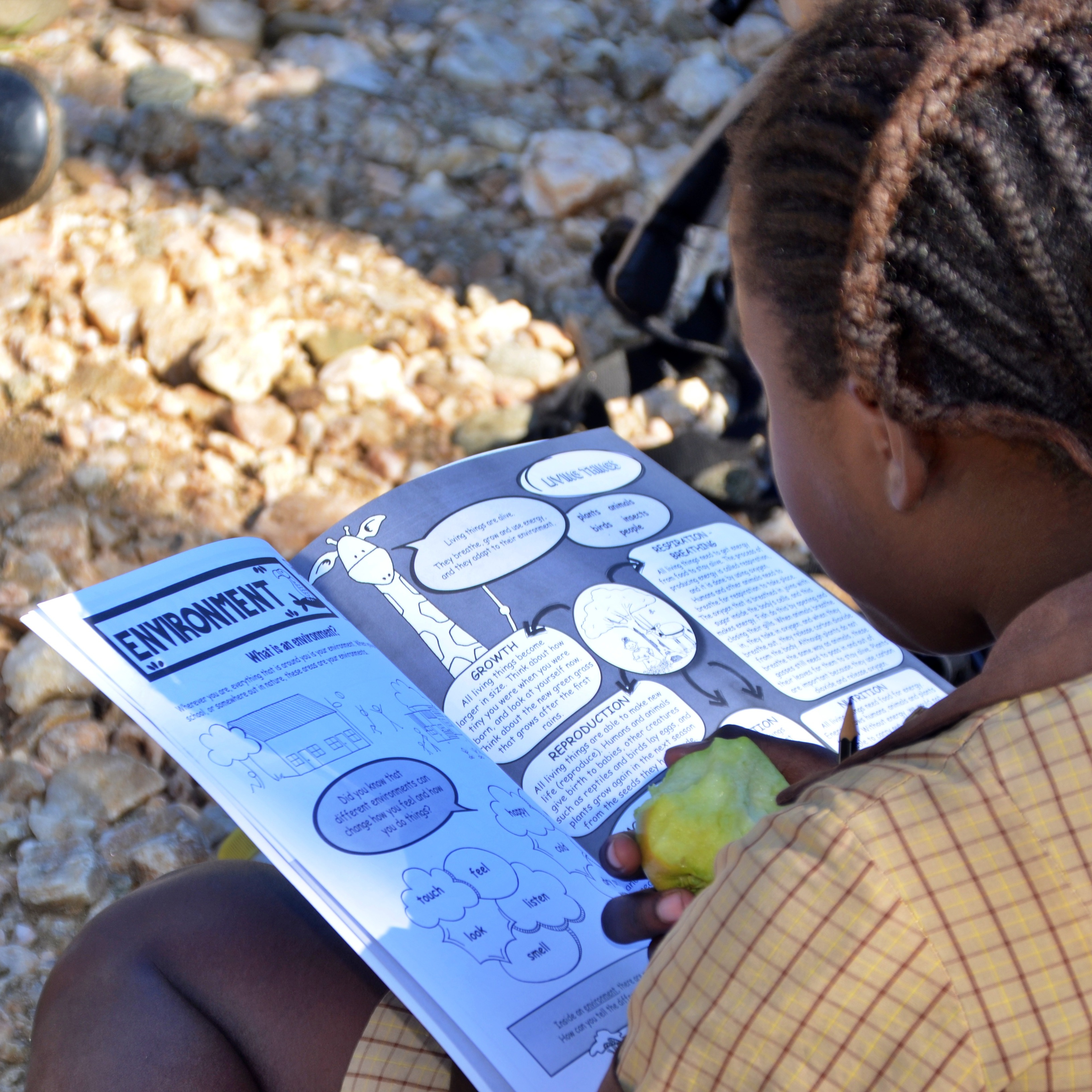 Photo 4 from GIRAFFE CONSERVATION FOUNDATION USA