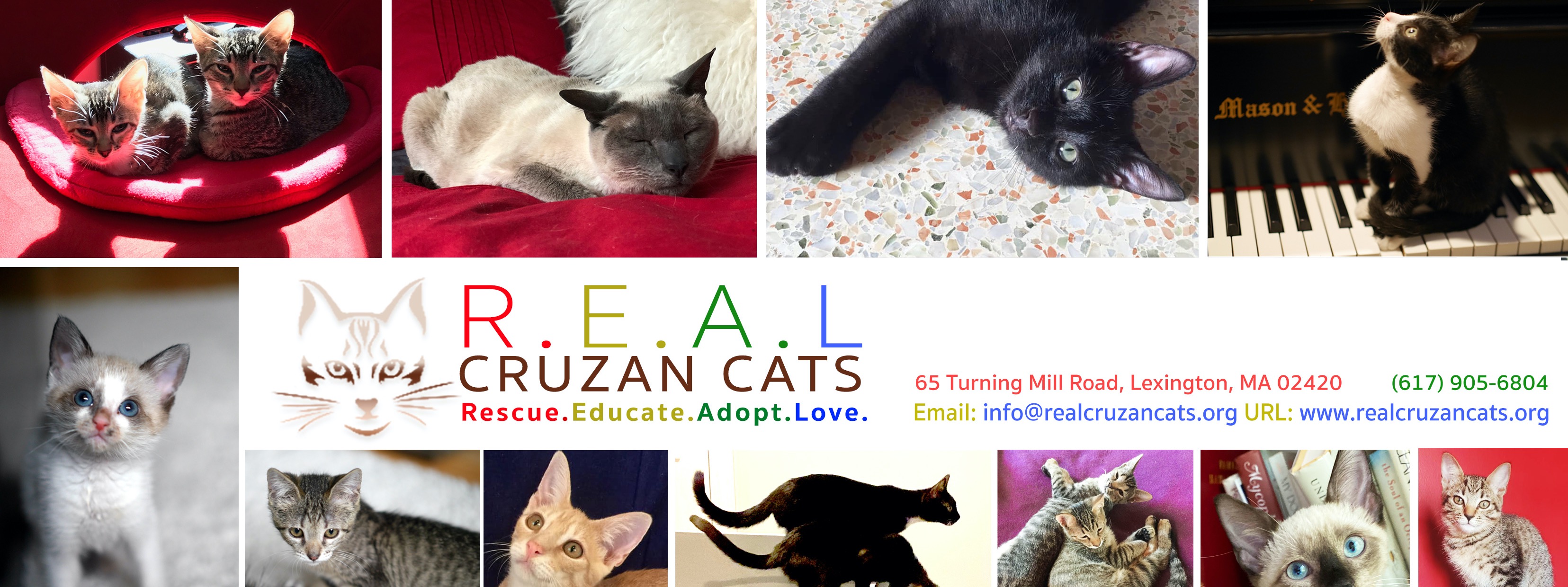 R.E.A.L. Cruzan Cats