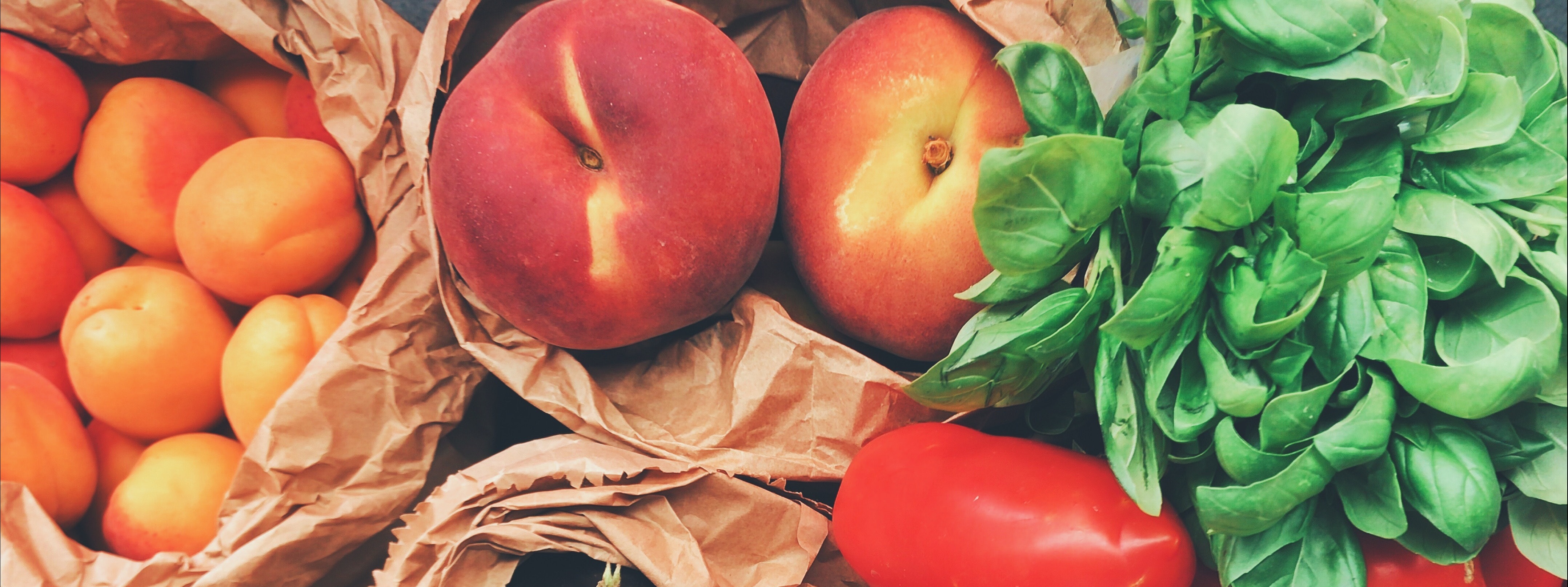 Tampa Bay Network To End Hunger, Inc.