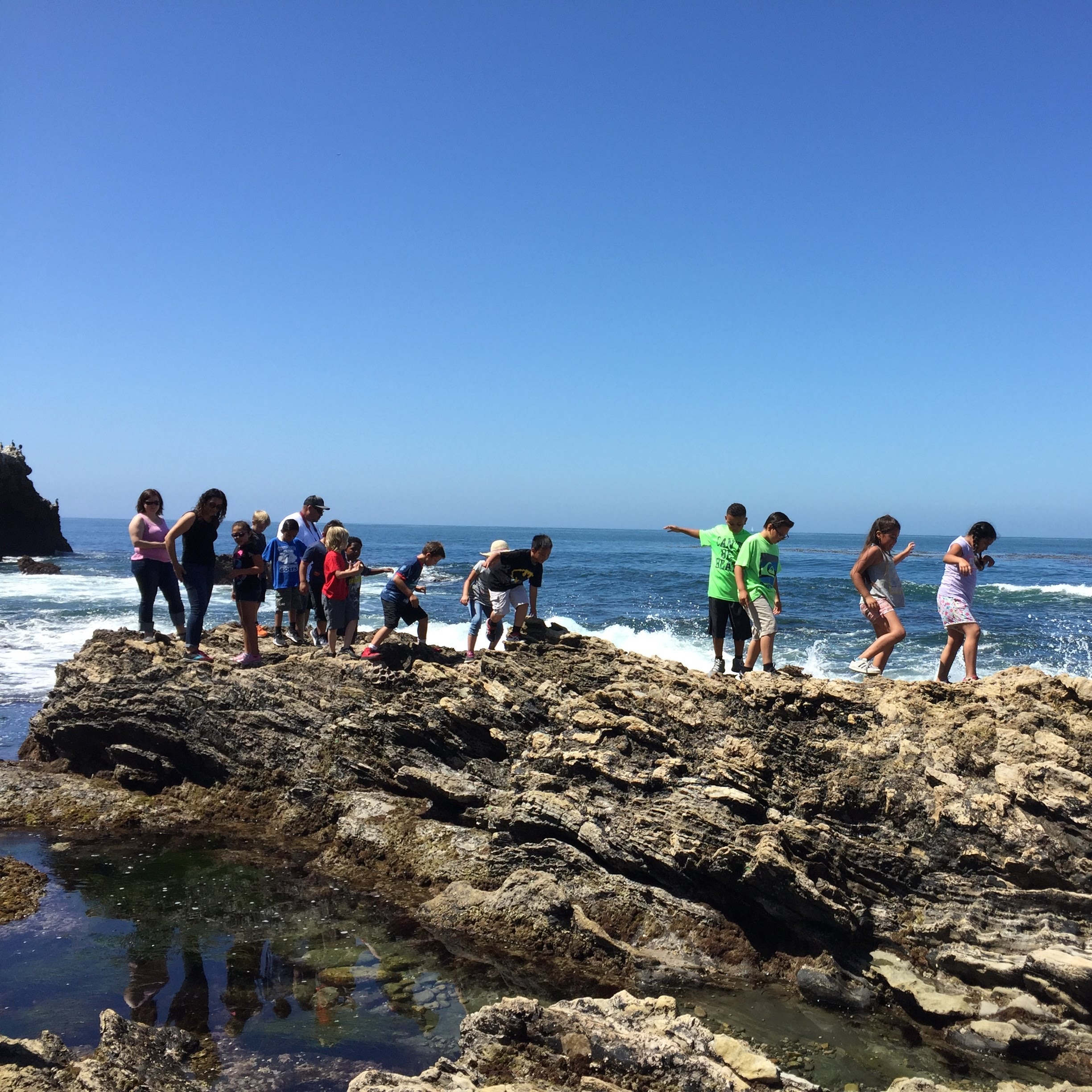 Photo 1 from OC Habitats