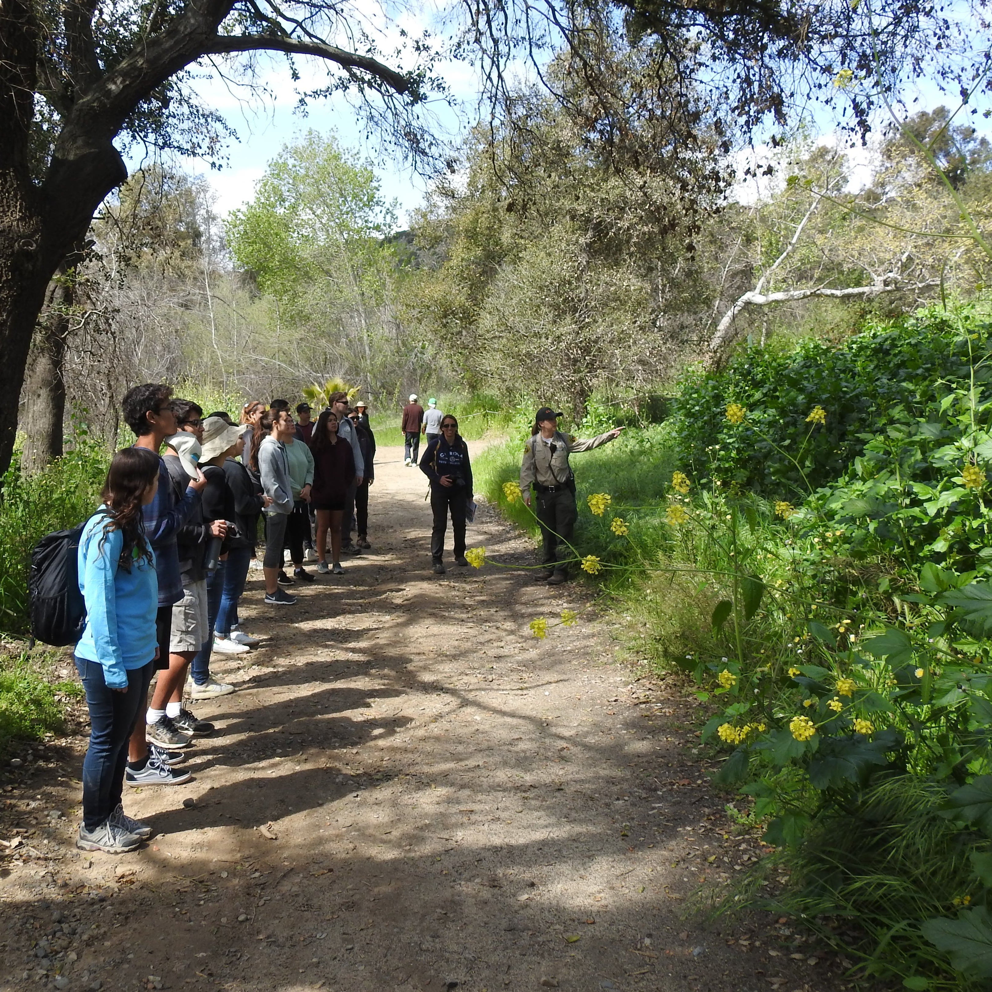 Photo 4 from OC Habitats