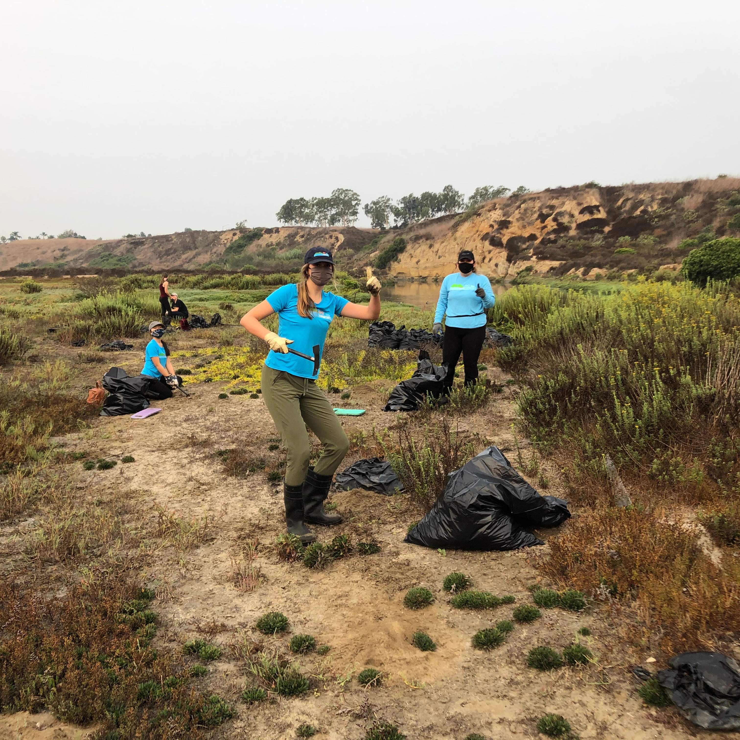 Photo 6 from OC Habitats