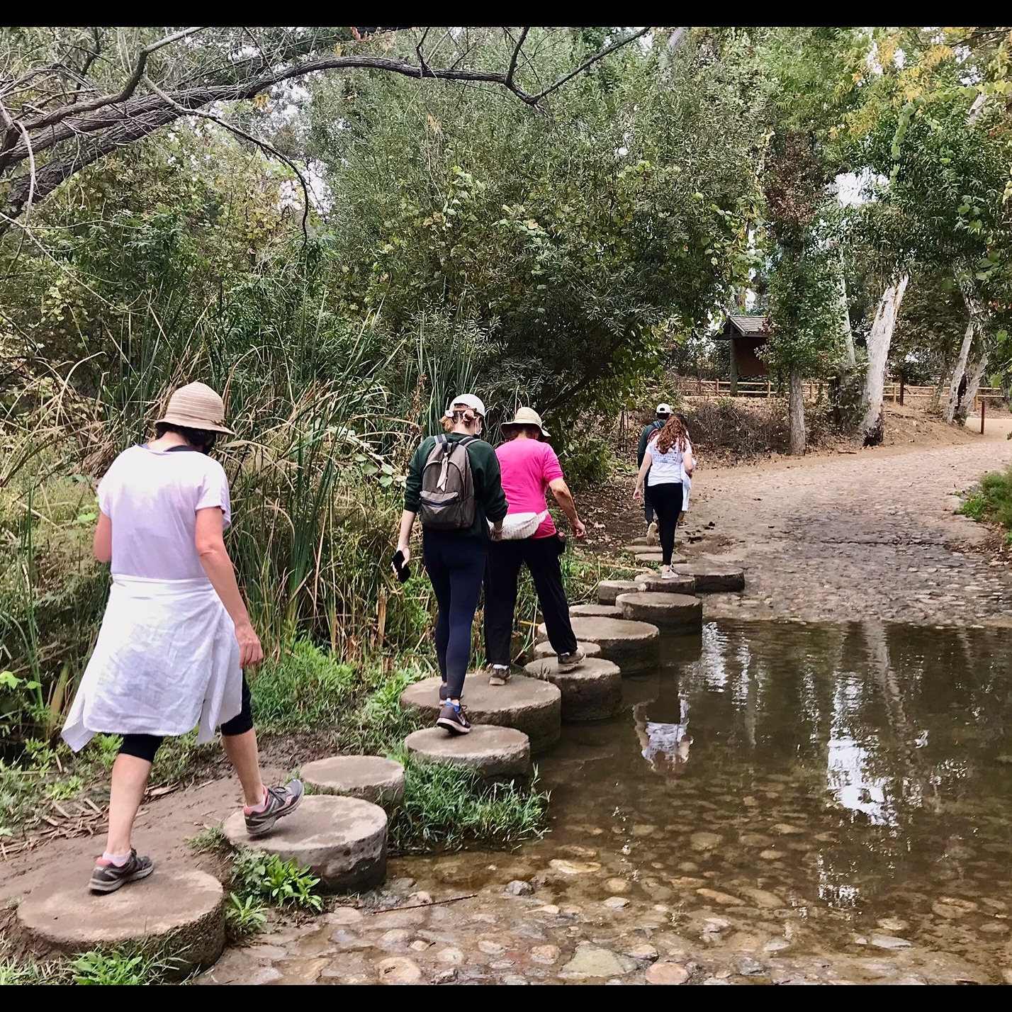 Photo 9 from OC Habitats