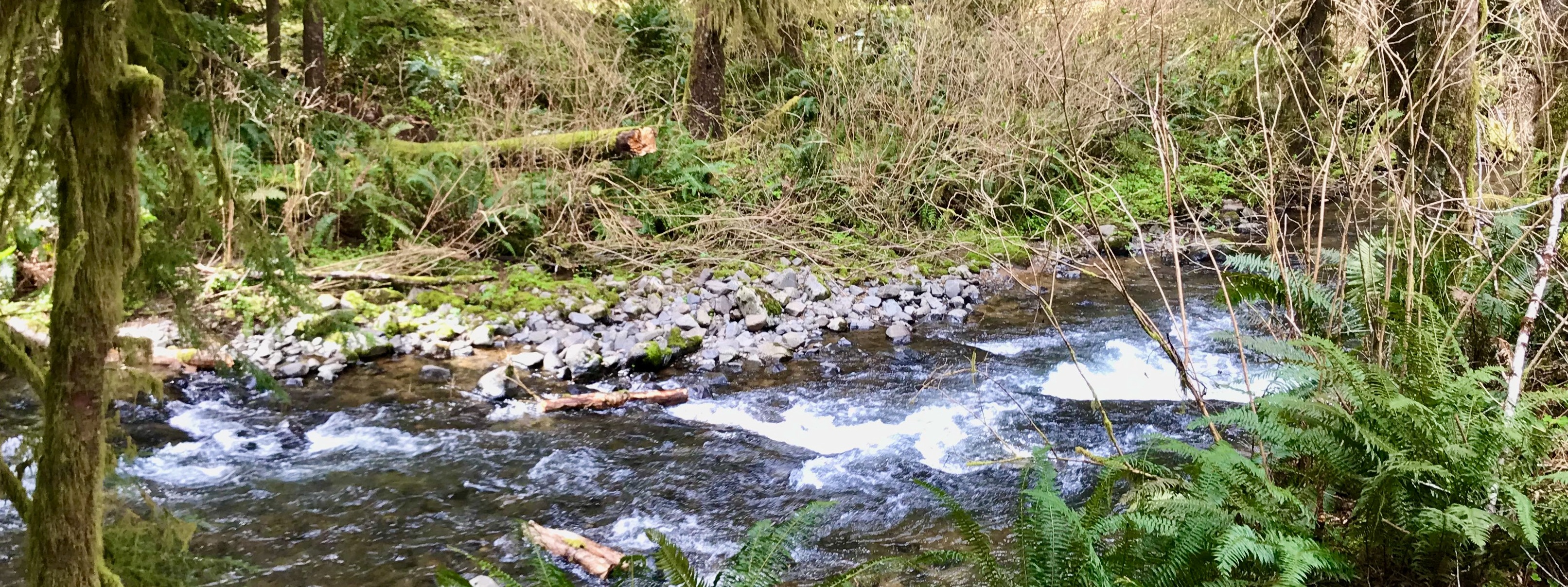 Neskowin Valley School cover