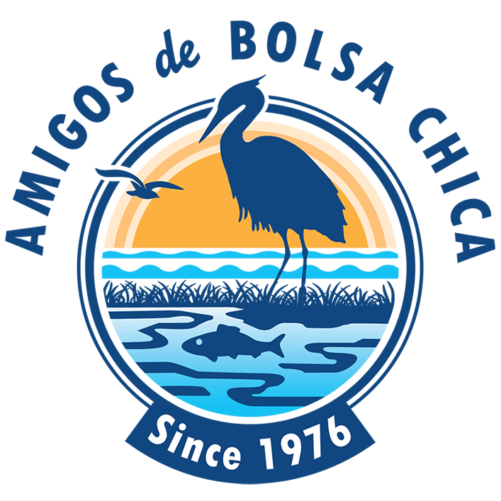 Amigos de Bolsa Chica