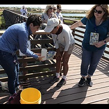 Photo 1 from Amigos de Bolsa Chica