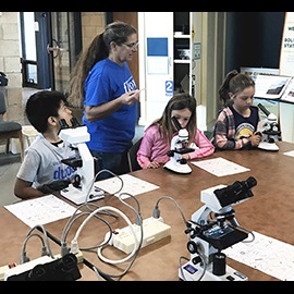 Photo 2 from Amigos de Bolsa Chica
