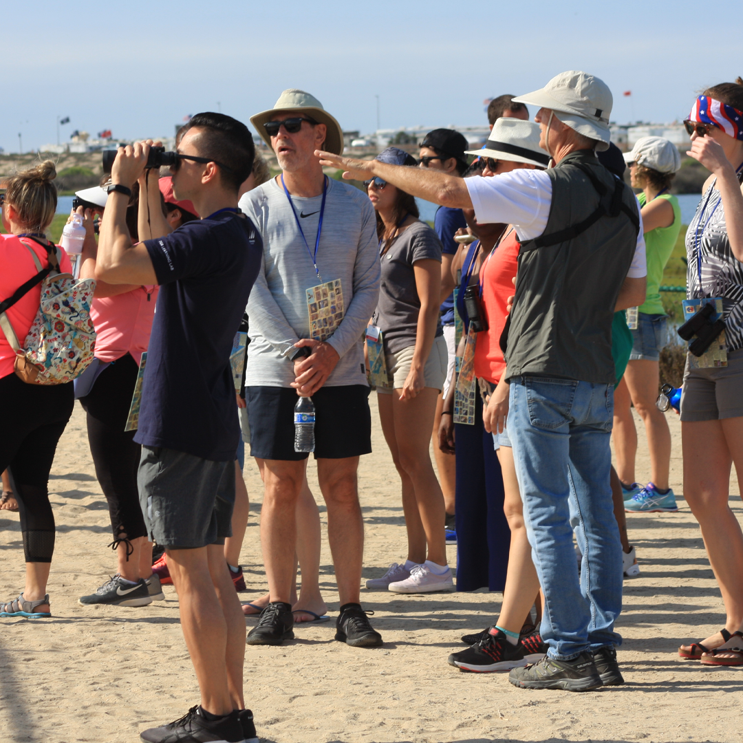 Photo 6 from Amigos de Bolsa Chica