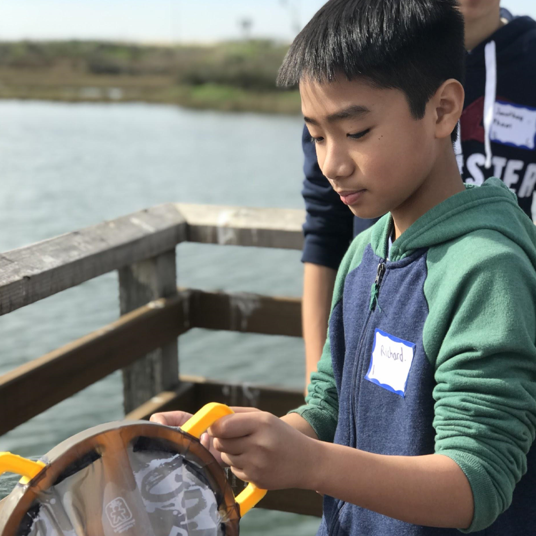 Photo 8 from Amigos de Bolsa Chica