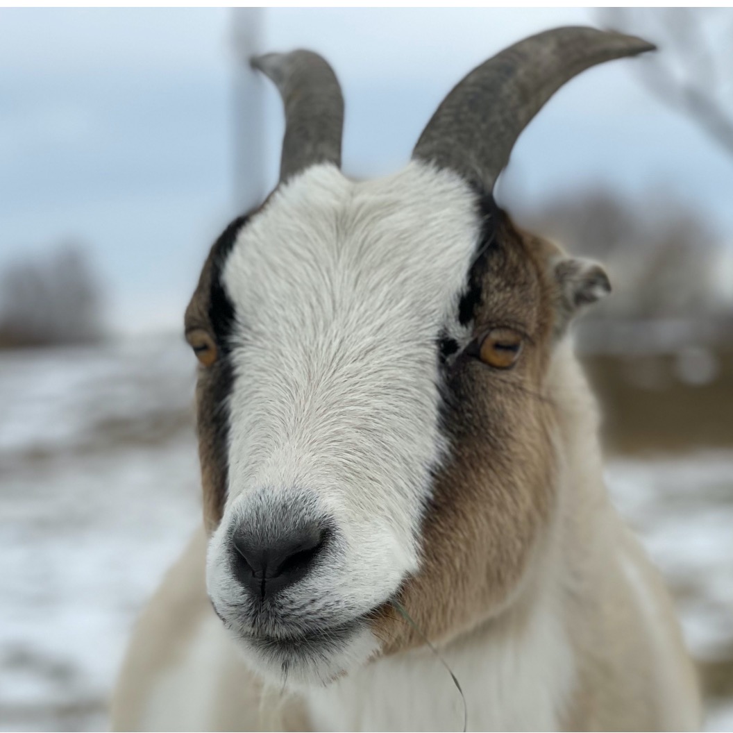 Photo 2 from Good Life Refuge