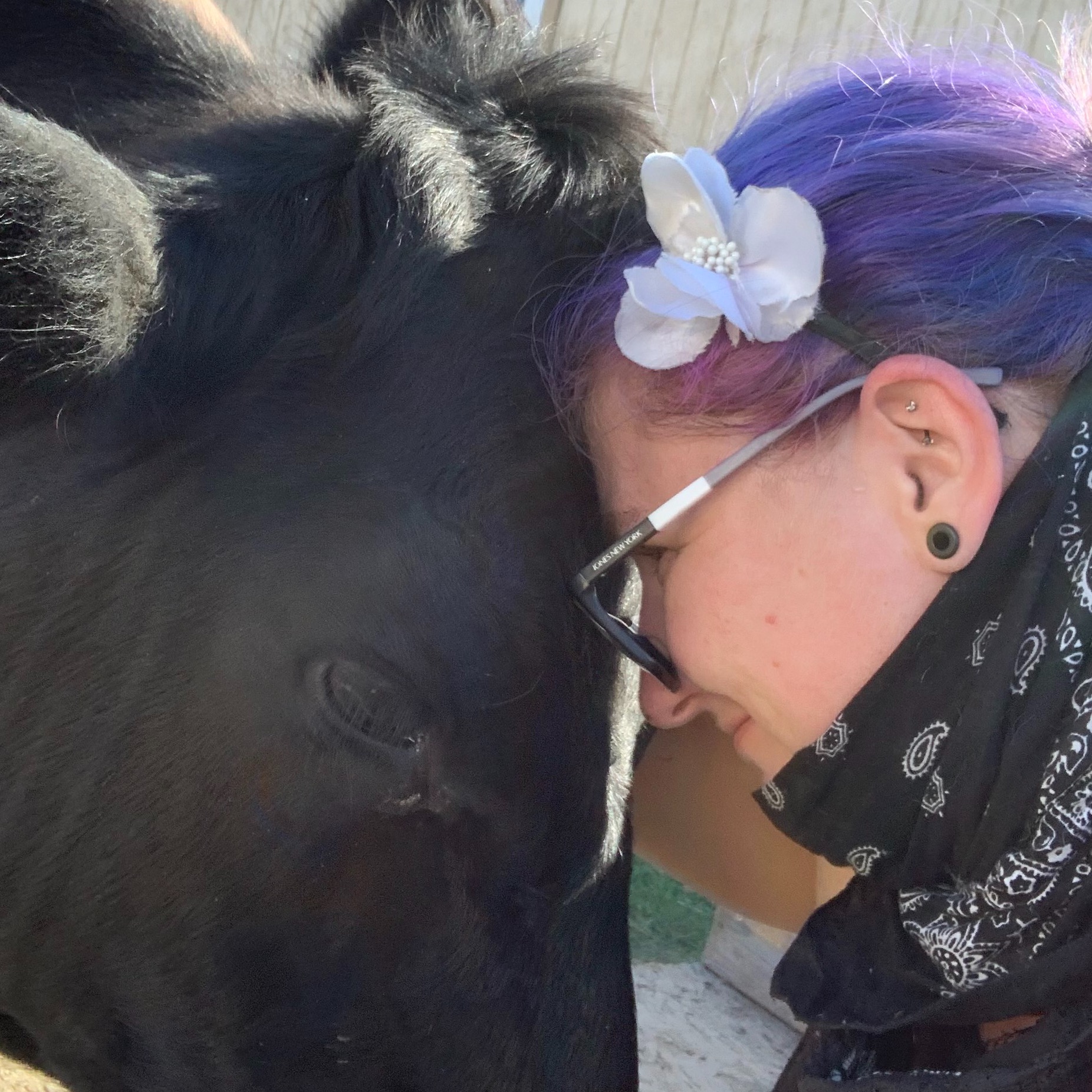 Photo 5 from Good Life Refuge