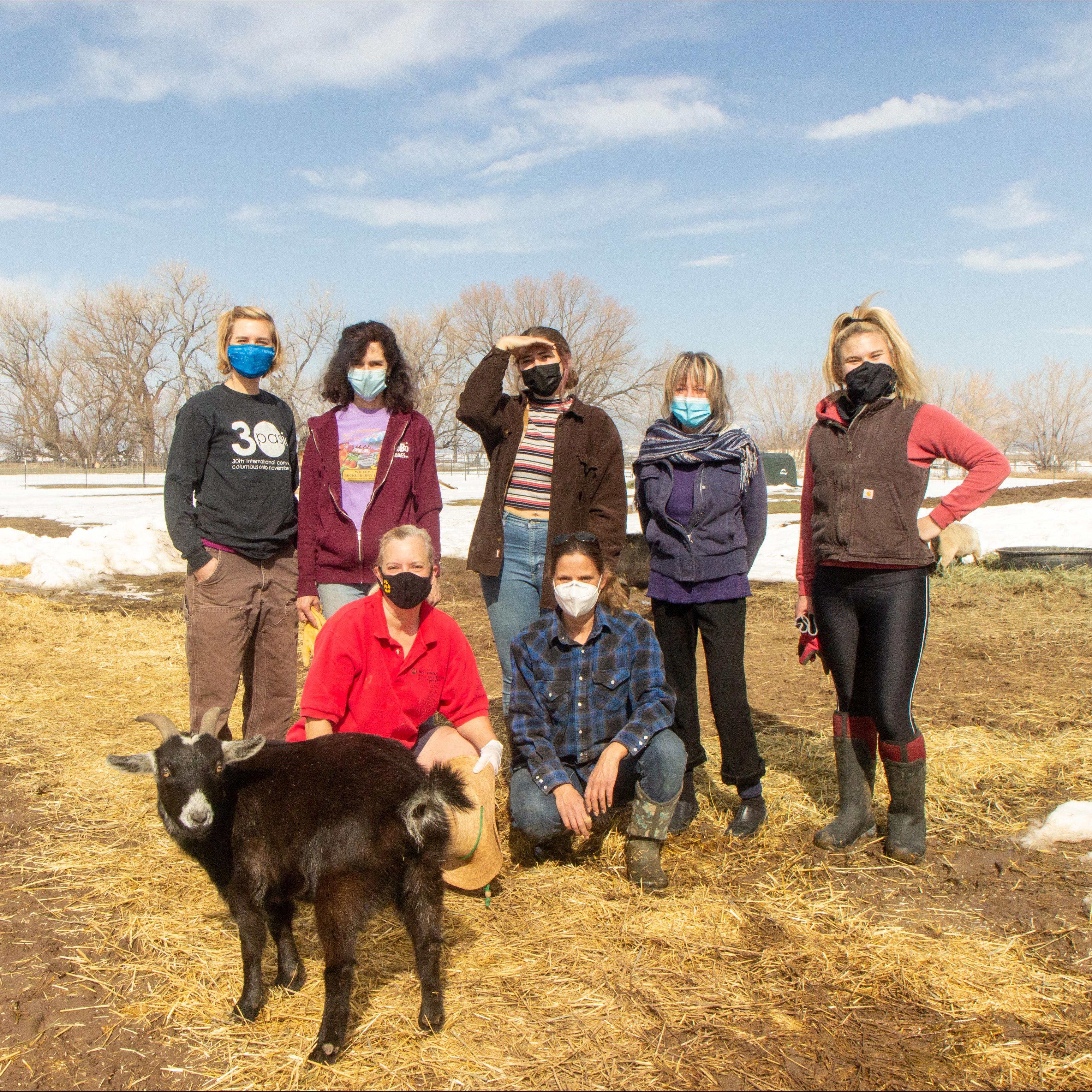 Photo 9 from Good Life Refuge