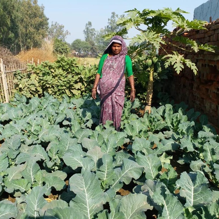 Photo 8 from Arise Foundation