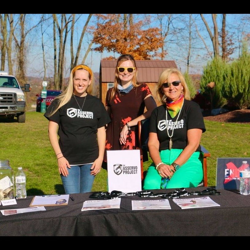 Photo 6 from The Asservo Project Inc