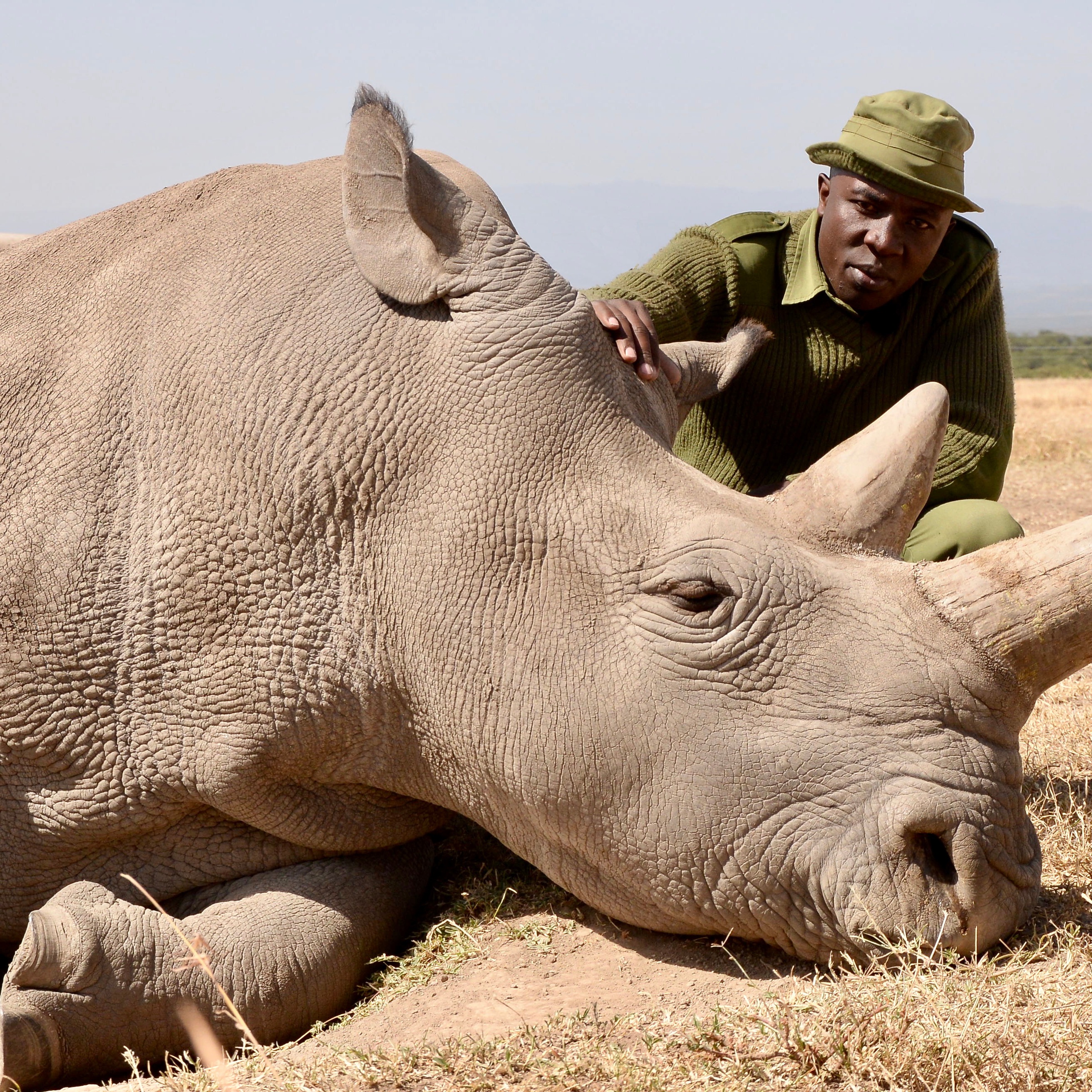 Photo 9 from Helping Rhinos