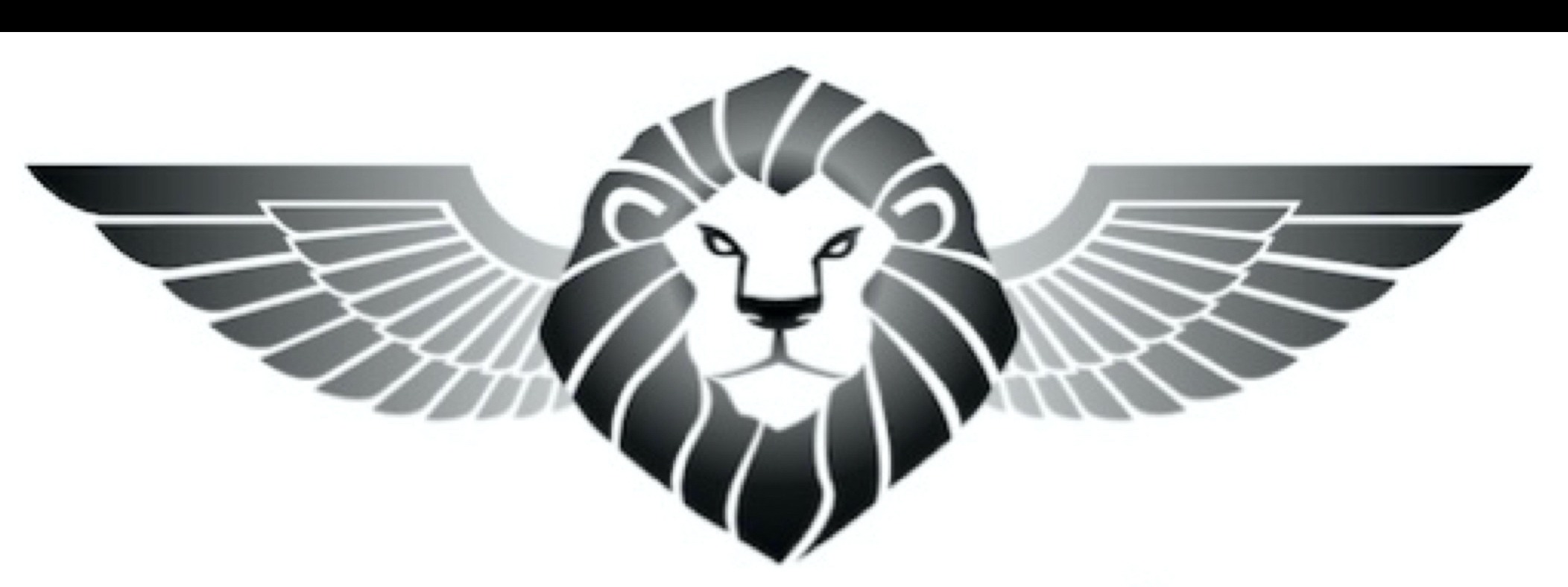 BRAVE ENOUGH TO FAIL INC