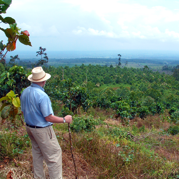 Photo 1 from Reforest the Tropics