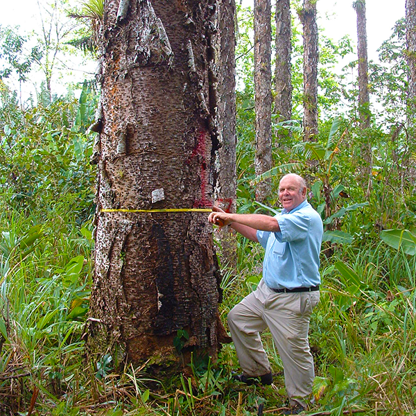 Photo 2 from Reforest the Tropics