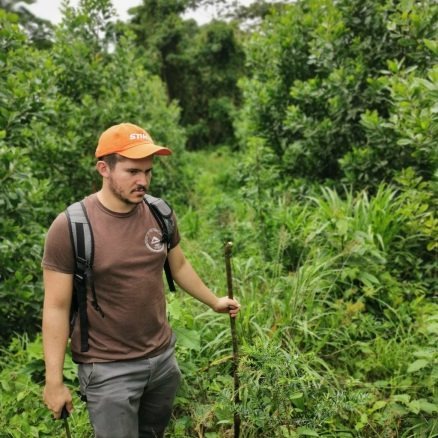 Photo 4 from Reforest the Tropics