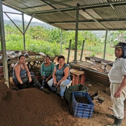 Photo 6 from Reforest the Tropics