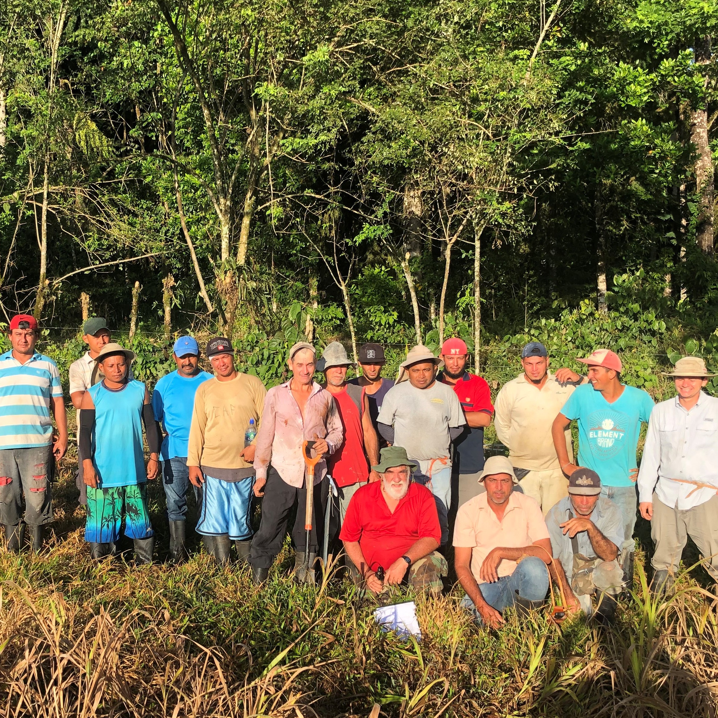 Photo 9 from Reforest the Tropics