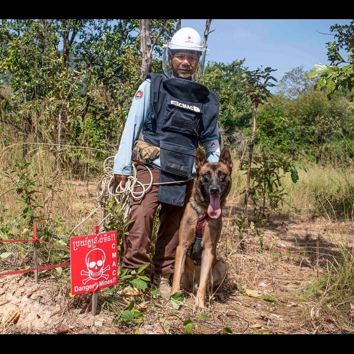 Photo 1 from The Spirit of Humanity.Org Inc