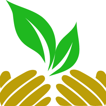 Raise International Inc