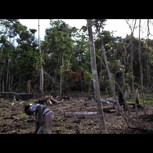 Photo 1 from Raise International Inc