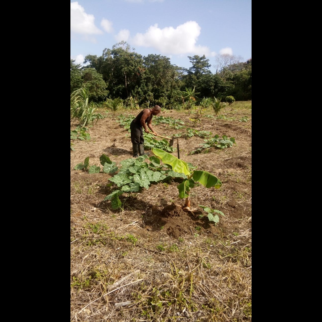 Photo 2 from Raise International Inc