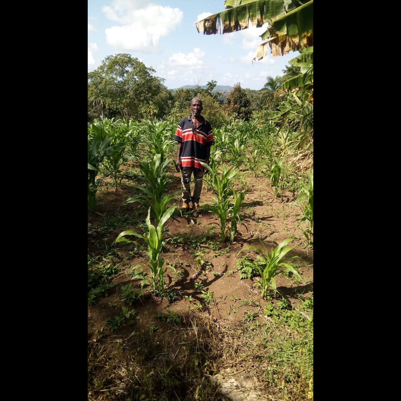 Photo 3 from Raise International Inc