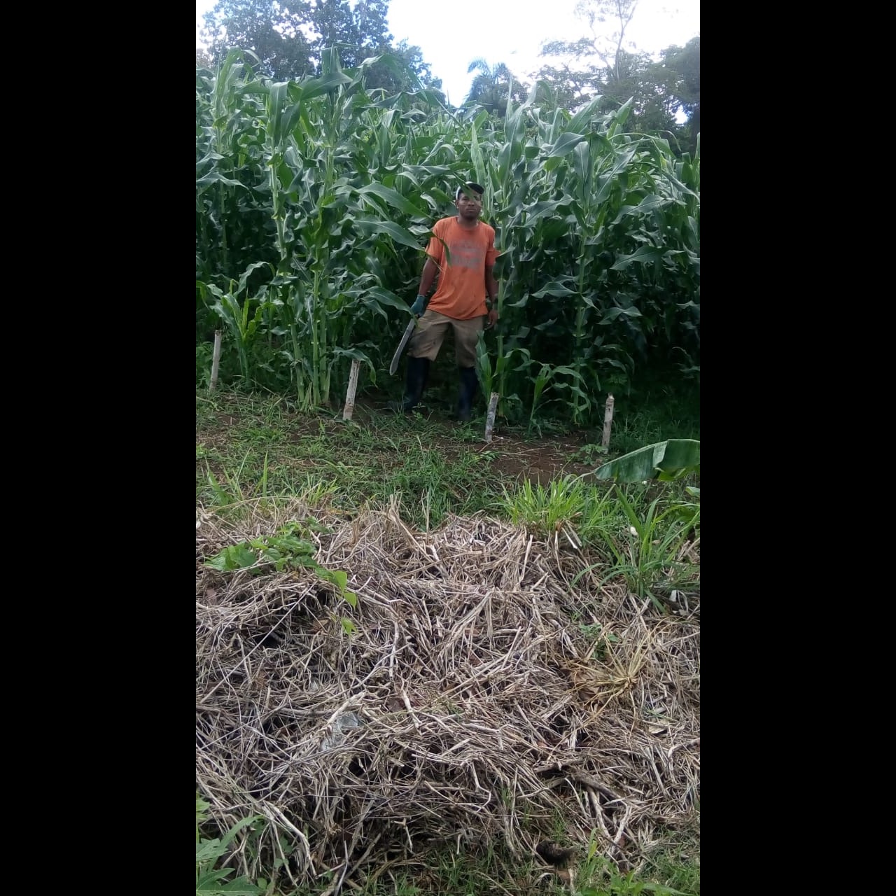 Photo 4 from Raise International Inc