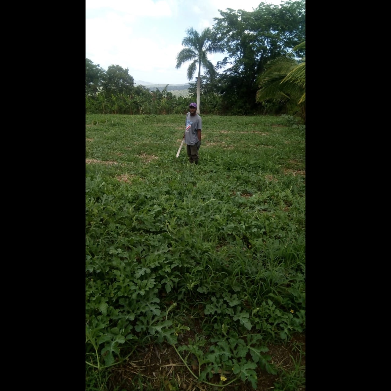 Photo 5 from Raise International Inc