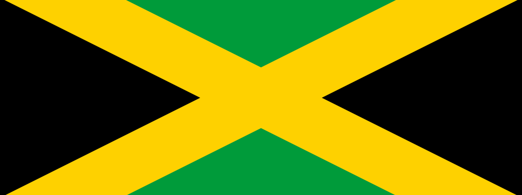 Raise International Inc cover