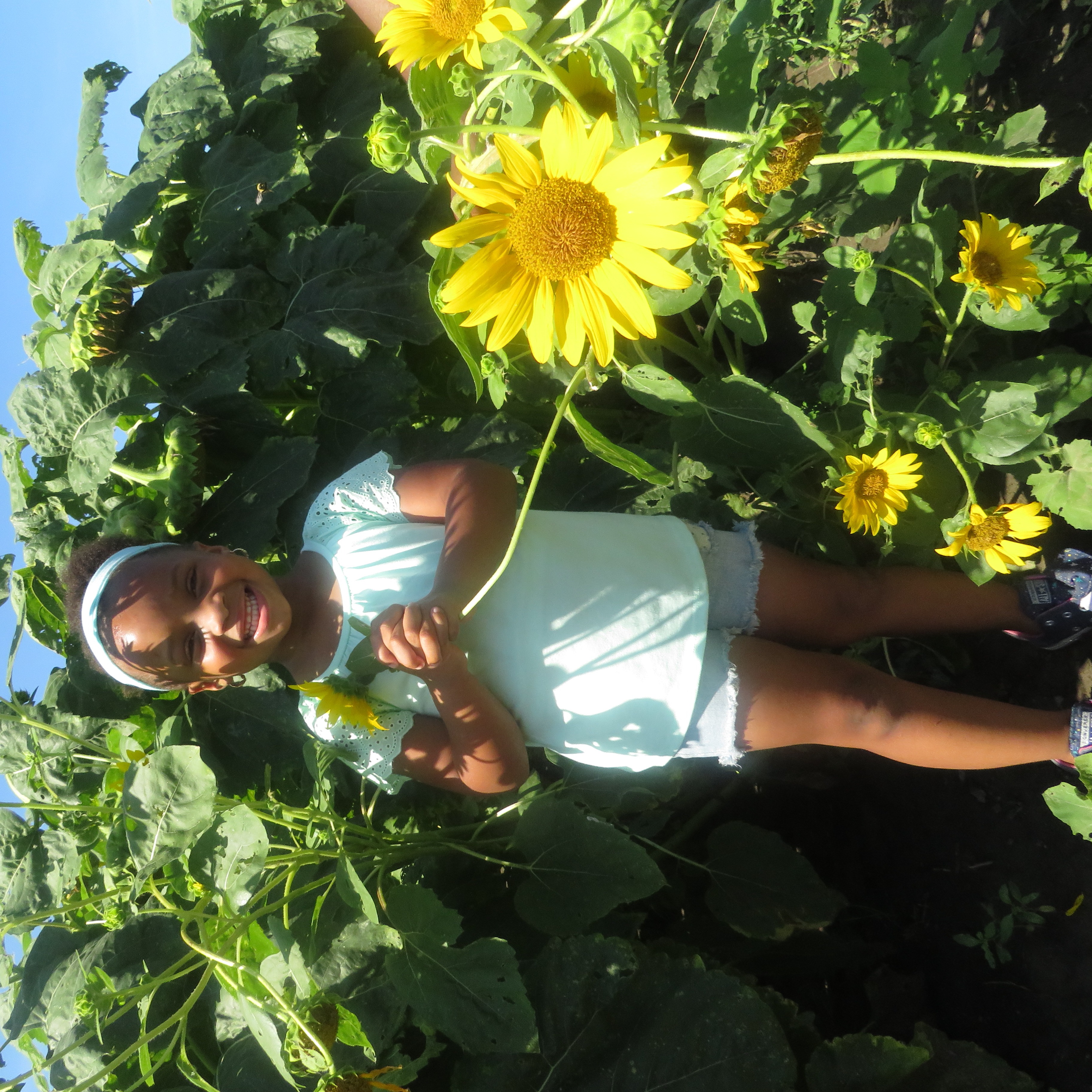 Photo 8 from Pointe of Surrender NFP