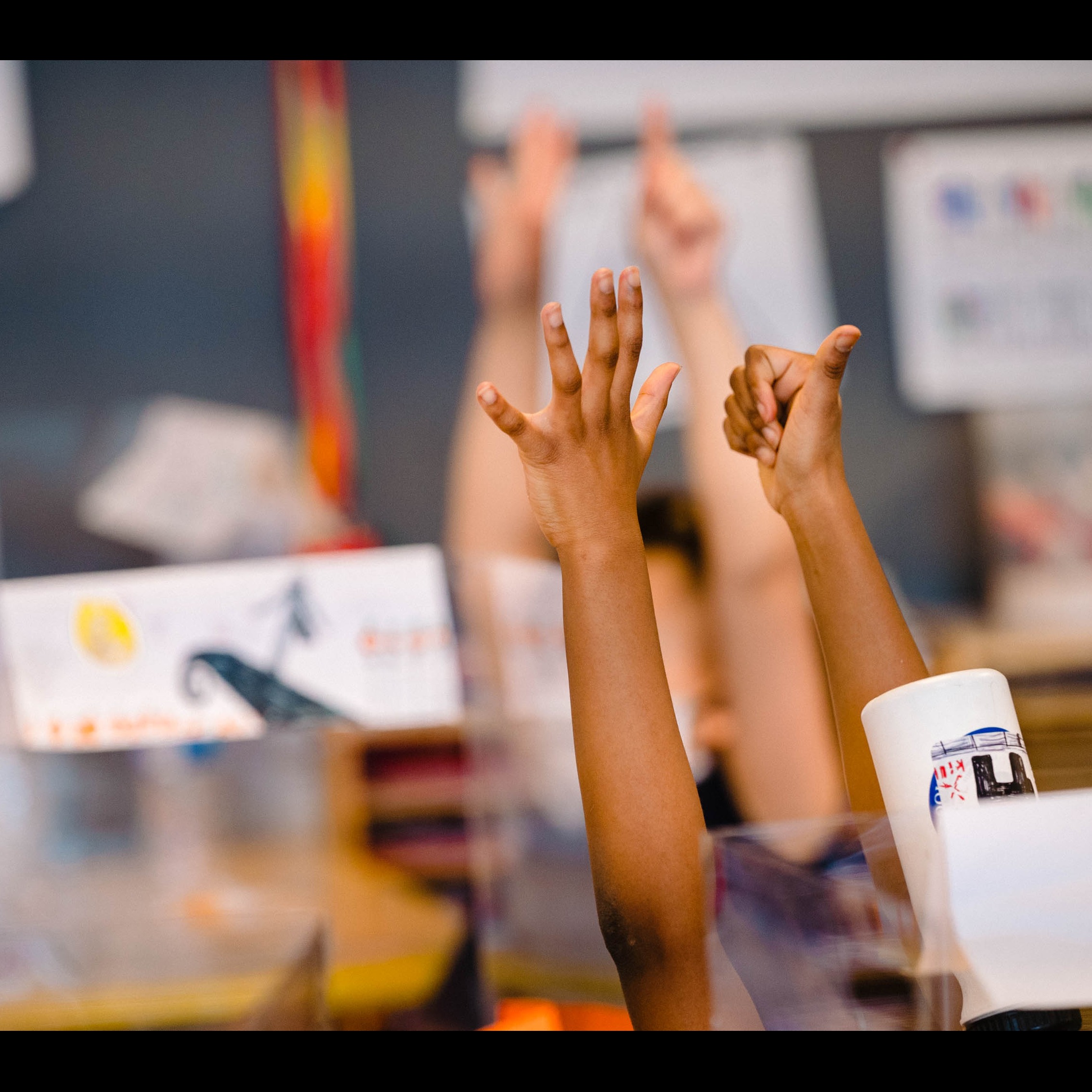 Photo 8 from St. Louis Language Immersion School