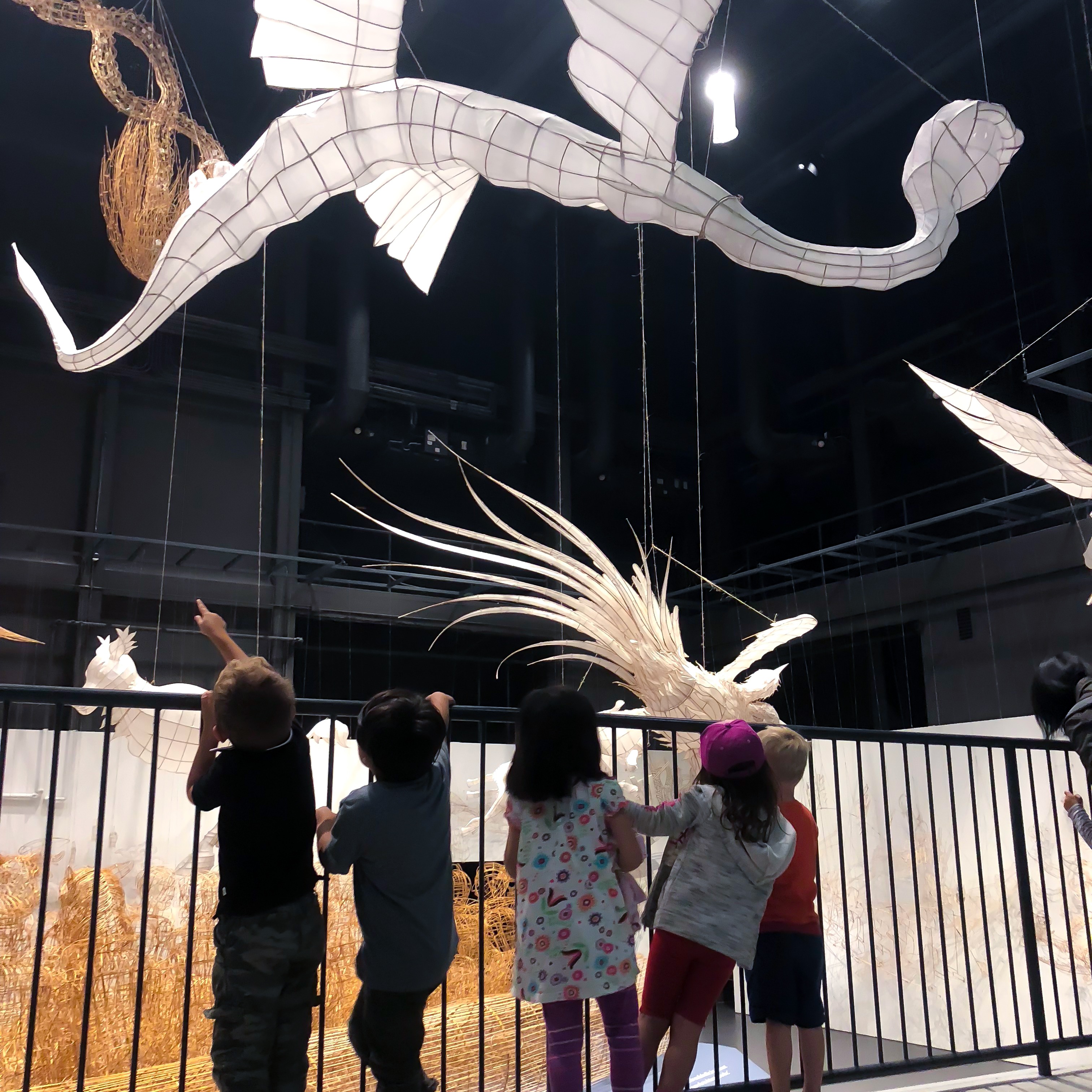 Photo 7 from GENESIS STEAM