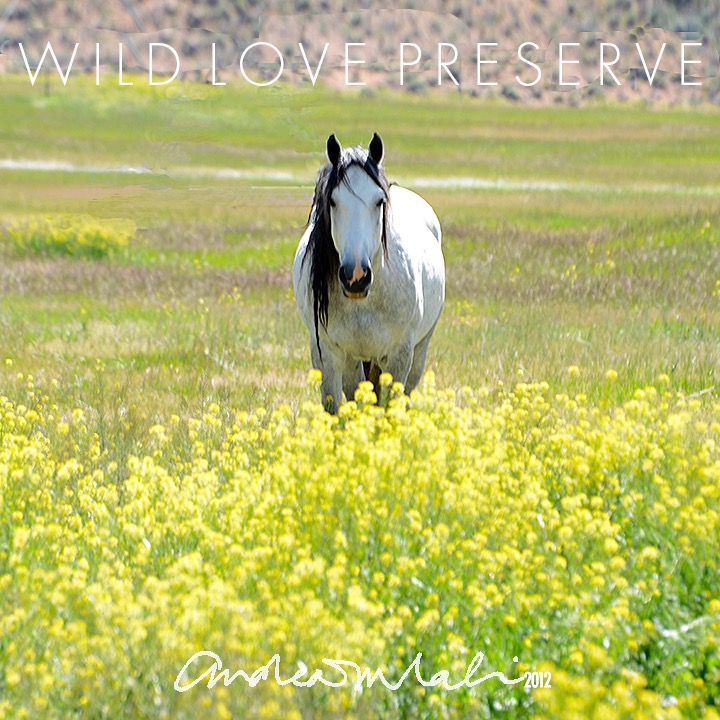 Photo 1 from WILD LOVE PRESERVE