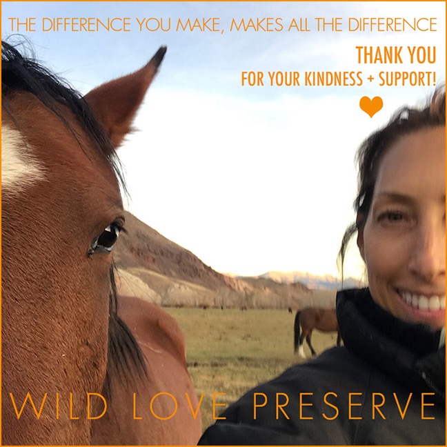 Photo 9 from WILD LOVE PRESERVE