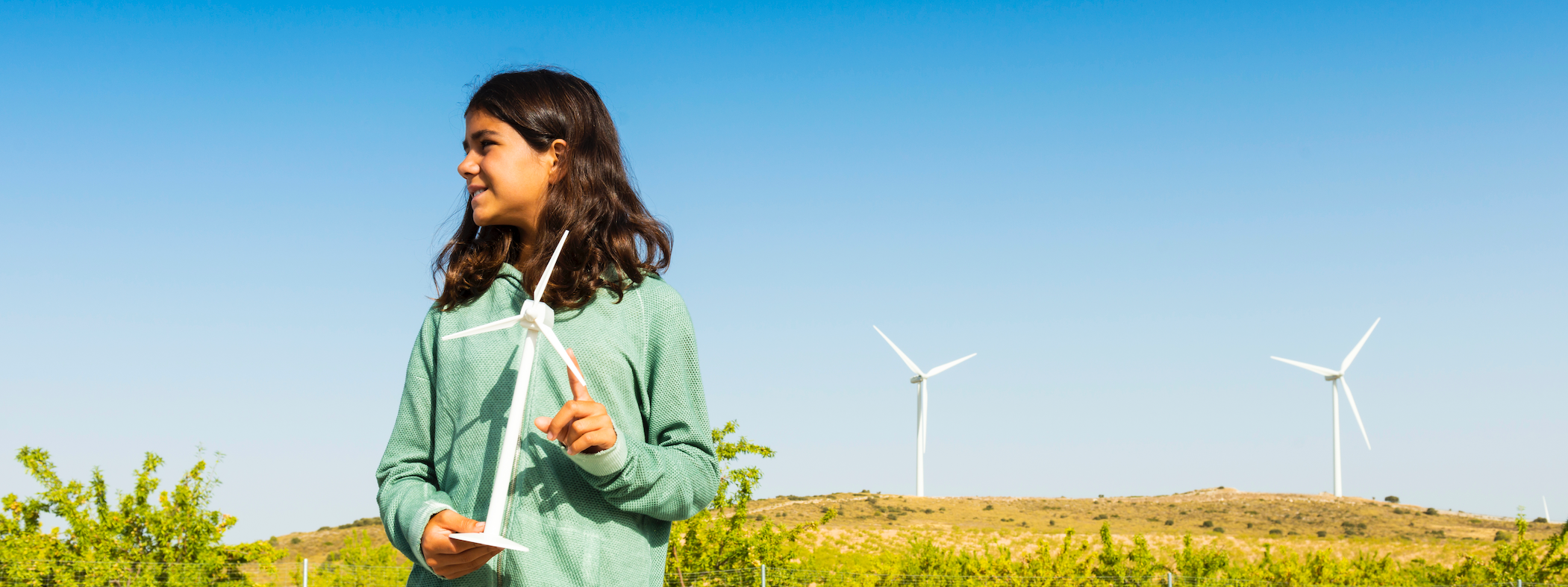 Climate Action Pathways for Schools