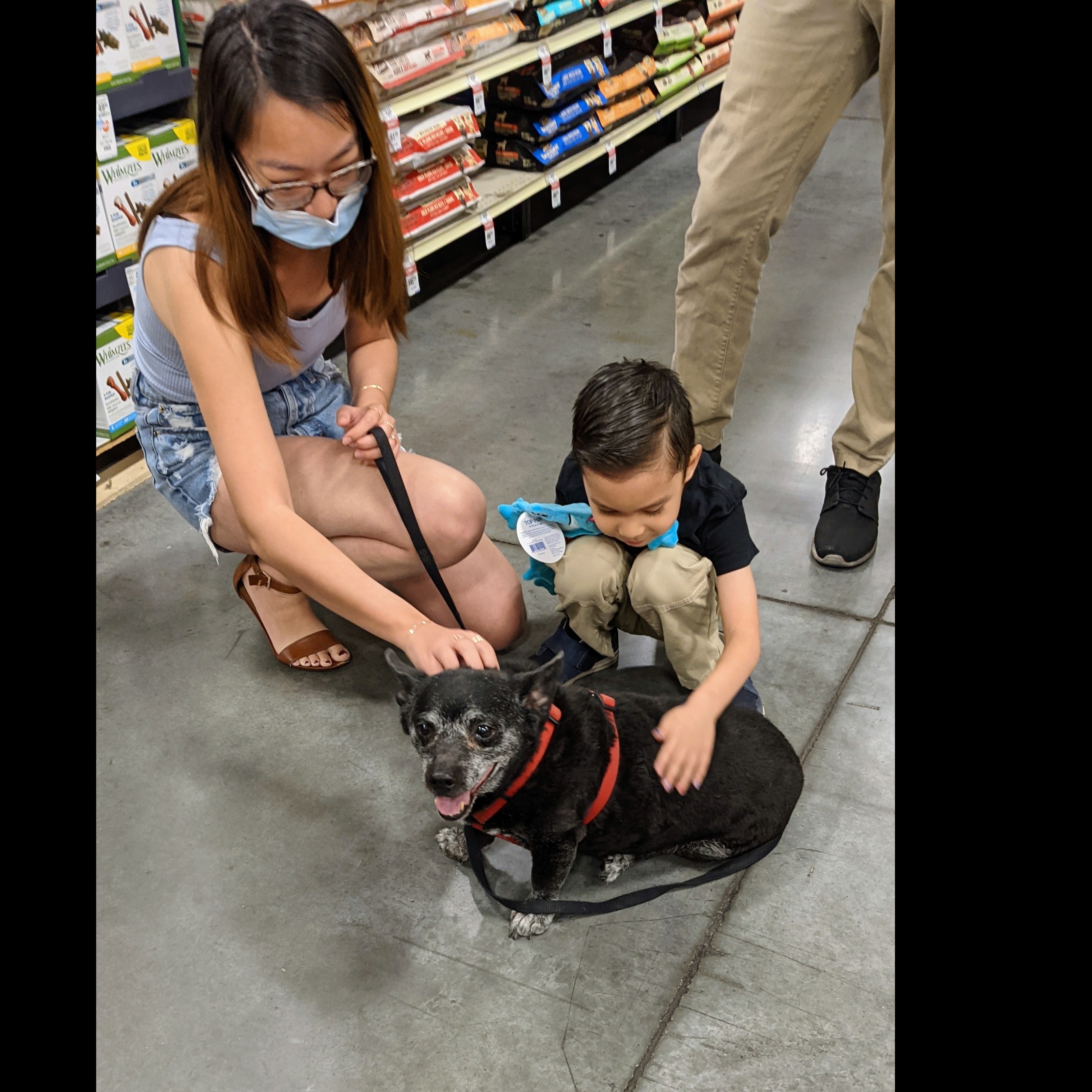 Photo 5 from Pawsitive Difference