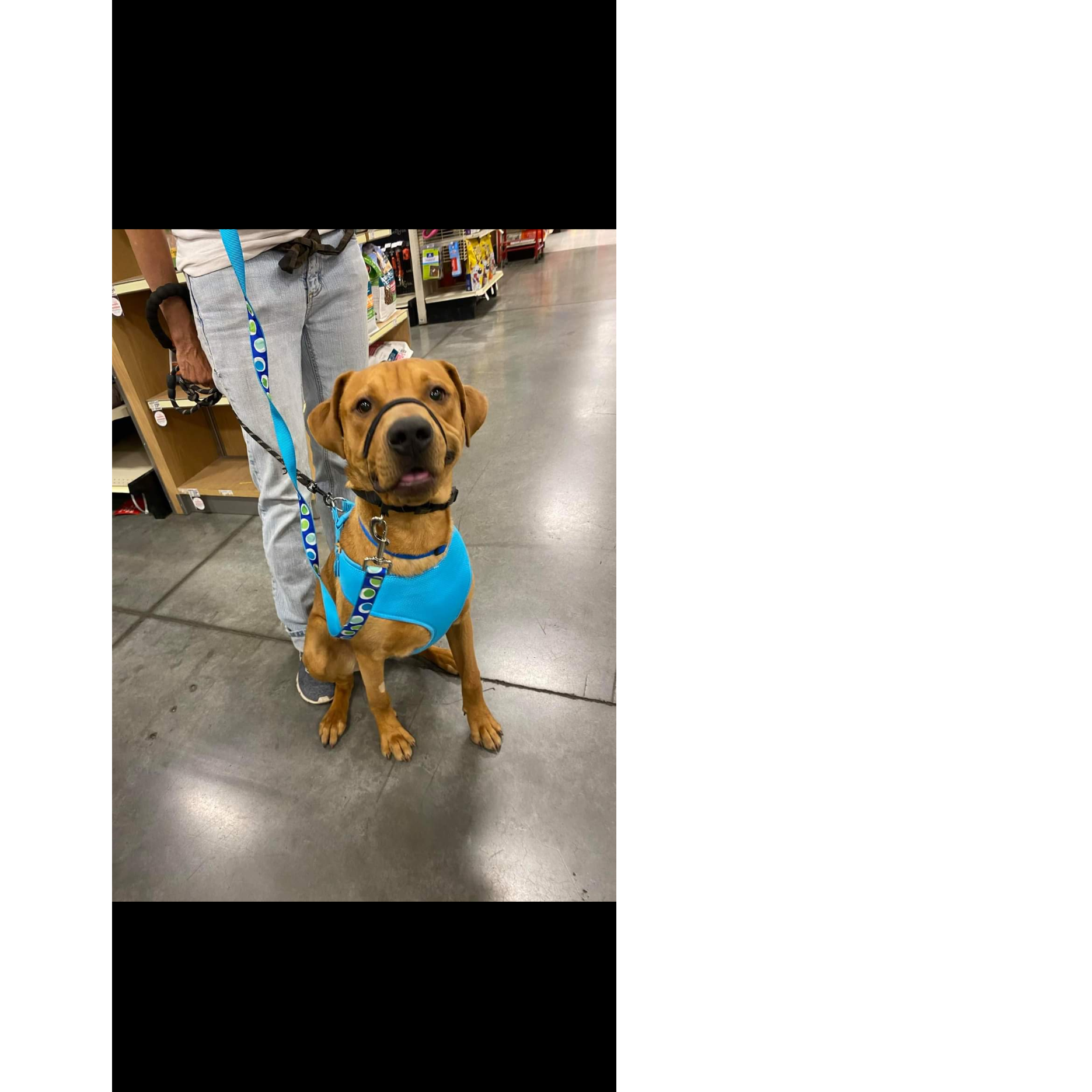 Photo 6 from Pawsitive Difference