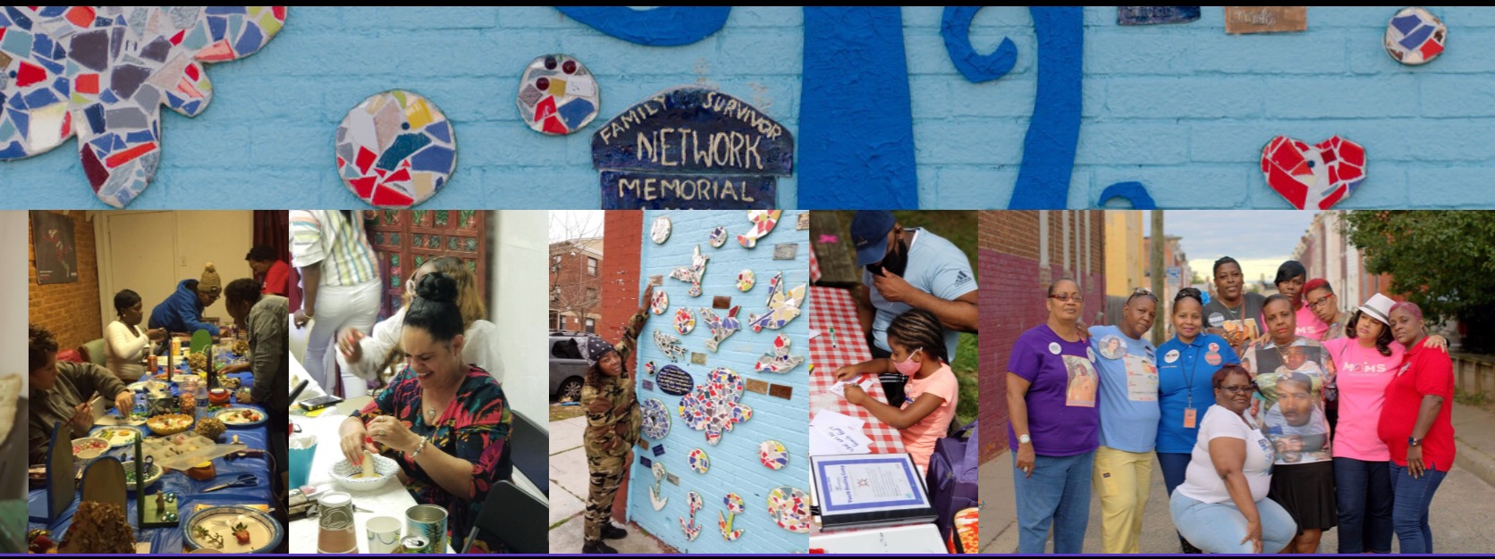 Family Survivor Network Inc