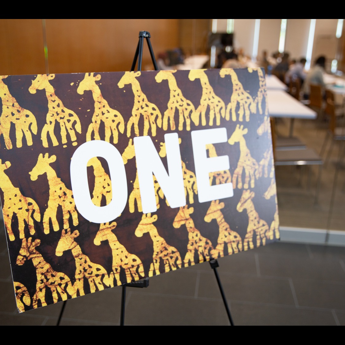 Photo 8 from OneRefugee