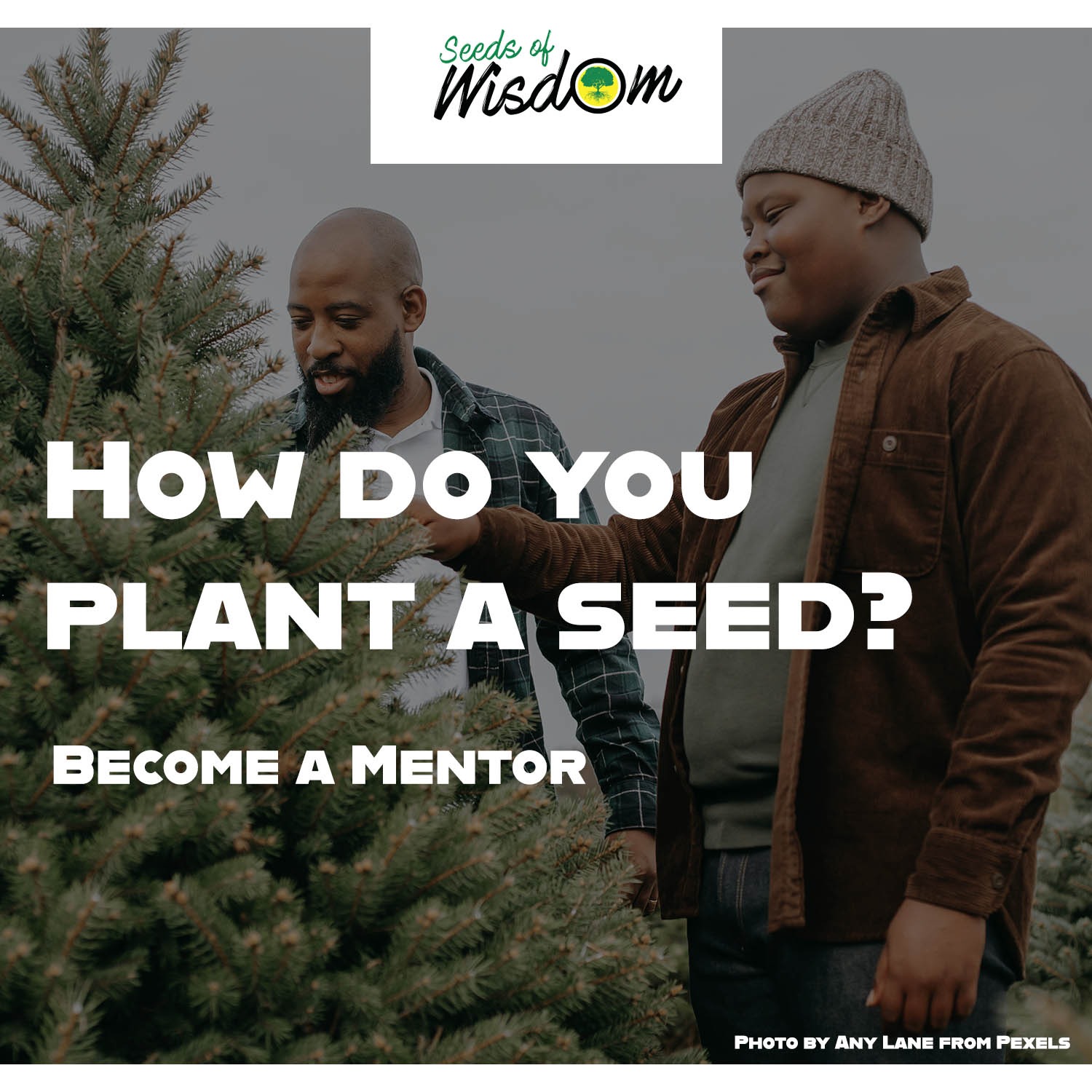 Photo 2 from Seeds of Wisdom, Inc.