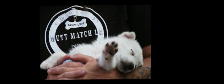MUTT MATCH LA