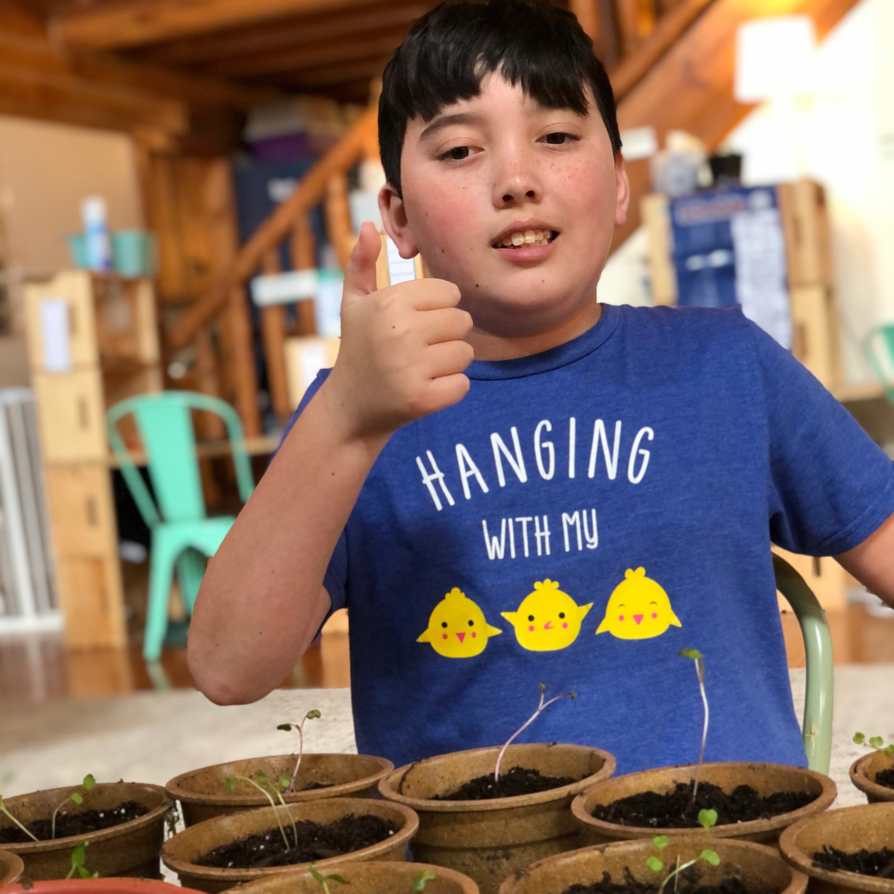 Photo 3 from 3 Bluebirds Farm